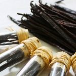 FAVA DE BAUNILHA - 1 UNID NO TUBO DE VIDRO