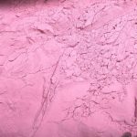 BETERRABA EM PÓ SOLÚVEL/Kg